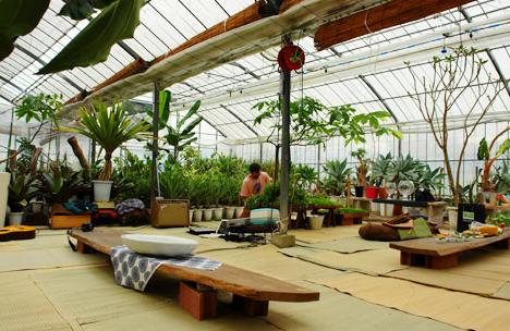 Indoor Gardening on Indoor Gardening